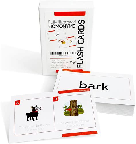 Pat's Flash Cards 50 Homonyms in English Flash Cards